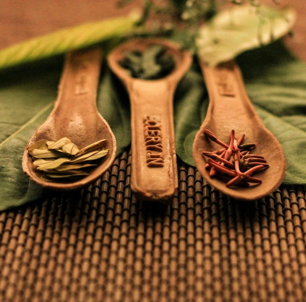 A couple of spoons sitting on top of a leaf